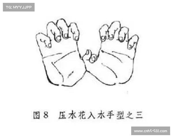 个人全能比赛规则解析：跳板跳台动作组合要求