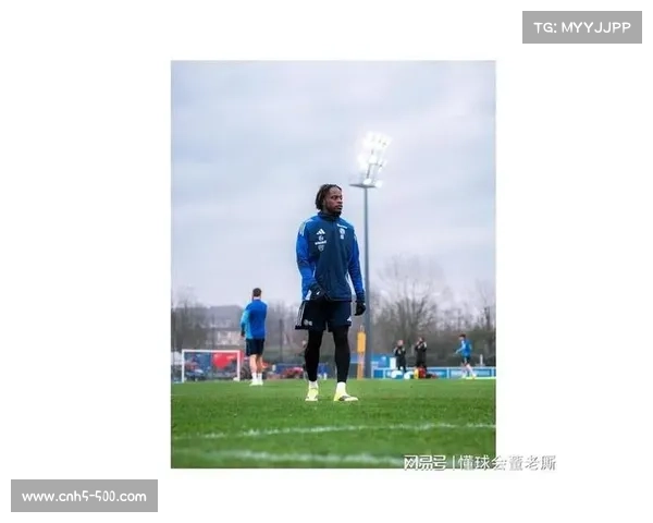 勒阿弗尔主场2-1战胜斯特拉斯堡，布法尔回归法甲首次送出助攻